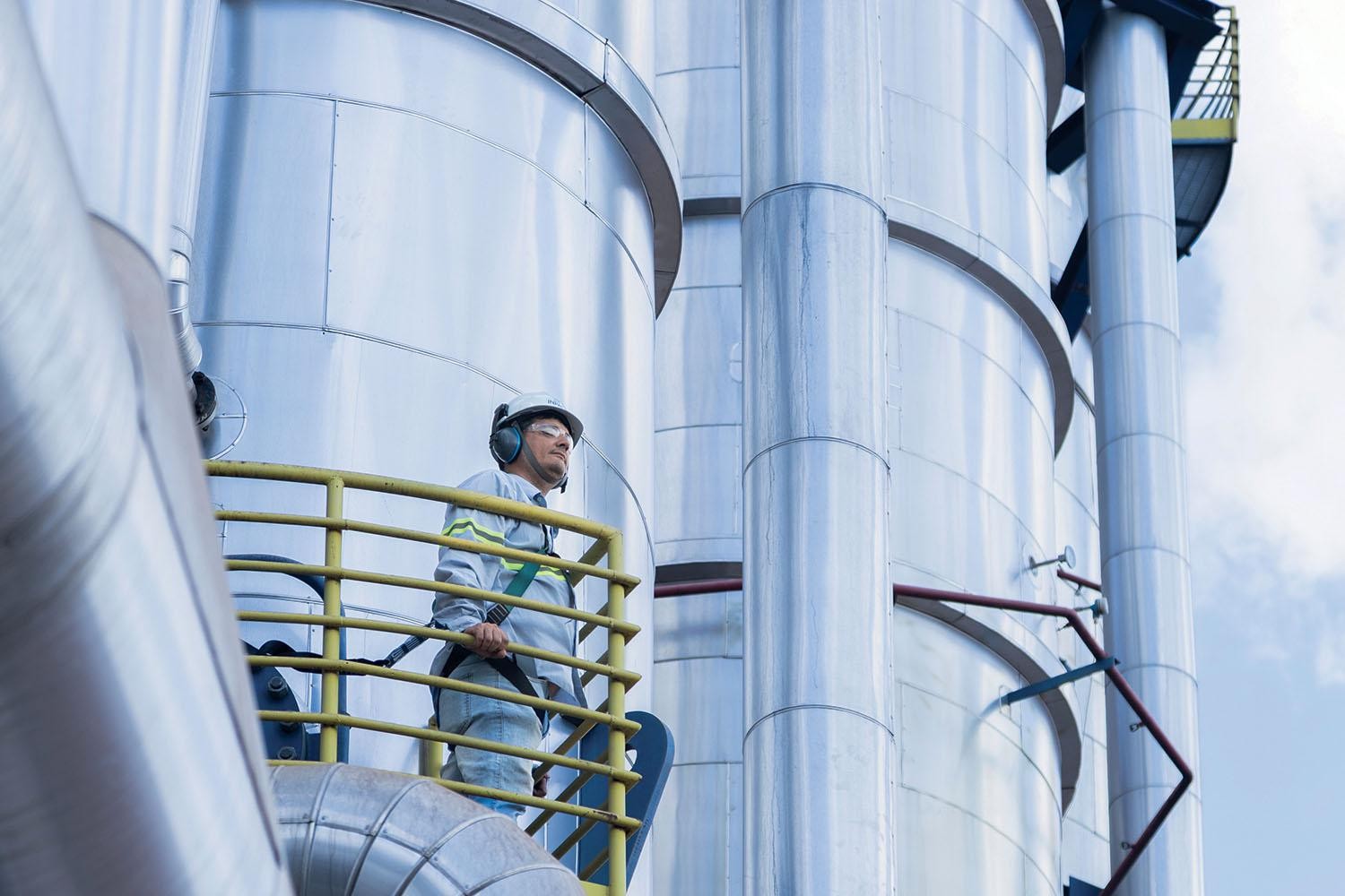 Valor 1000: Na liderança da bioenergia, Inpasa Agroindustrial aproveita as vantagens do grão inteiro - Foto