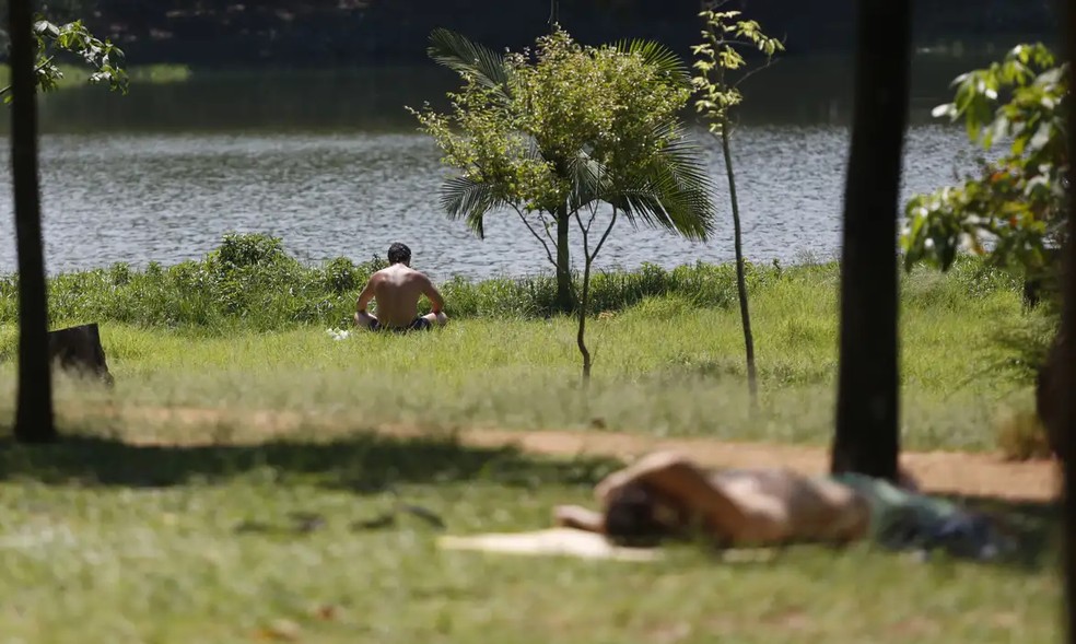 Parque da Aclimação em São Paulo — Foto: Paulo Pinto/Agência Brasil