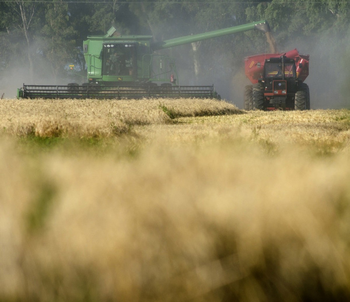 Economia da Argentina cresce 4,4% em 2025 - Valor Econômico