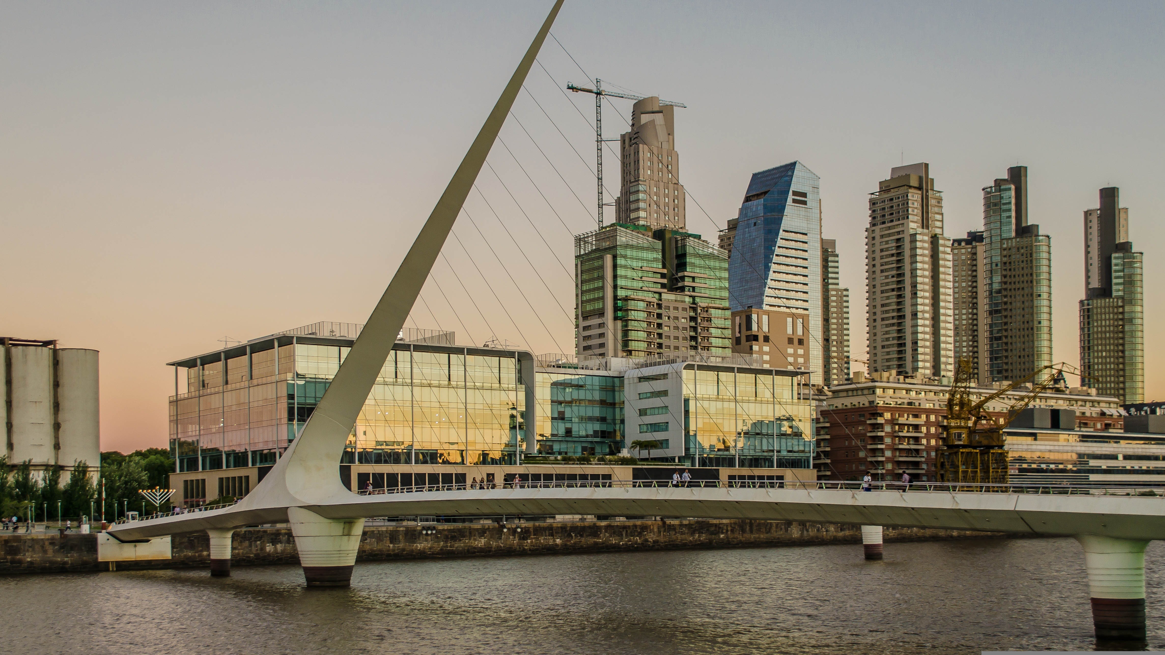 eComex lança plataforma com IA na Argentina