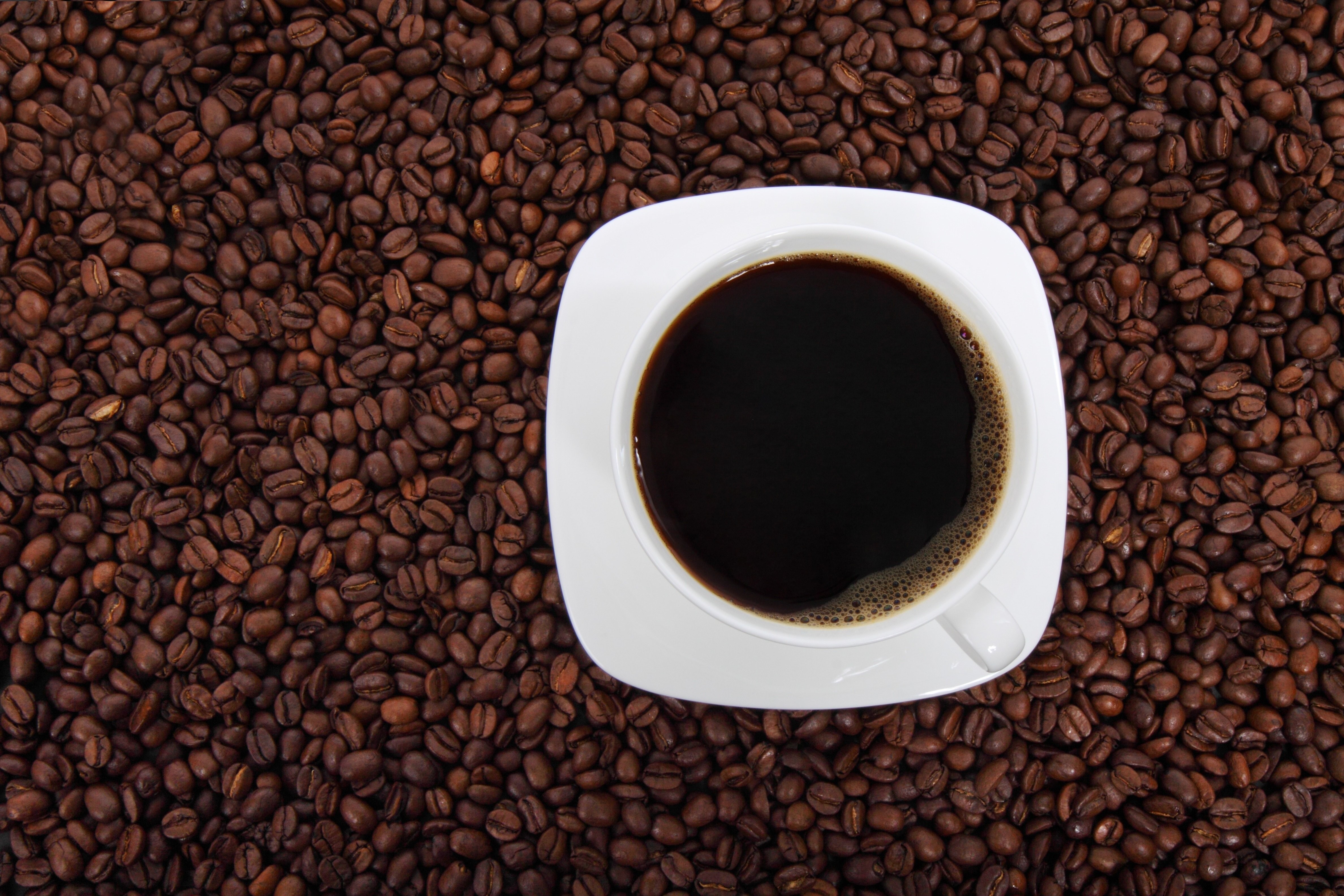 Coffee++ obtém parecer favorável do INPI em disputa de marca com Nestlé