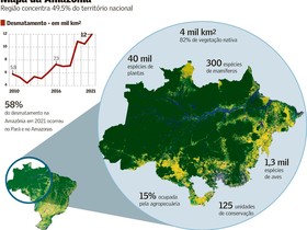 Bioeconomia perde para a destruição na Amazônia