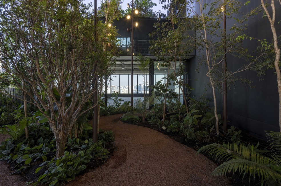 Bosques suspensos e conectados aos andares são atrativos do Salma Tower — Foto: MAÍRA ACAYABA/DIVULGAÇÃO