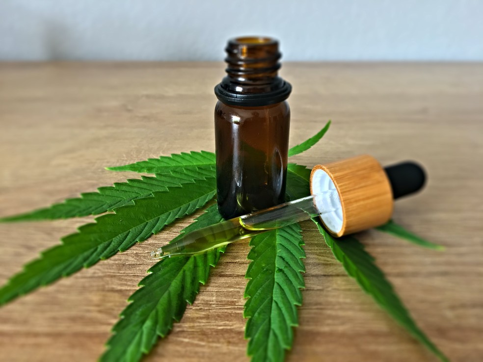  O canabidiol (CBD) e o tetrahidrocanabinol (THC), substâncias extraídas de plantas do gênero Cannabis, são utilizadas, com resultados comprovados, no tratamento de diversas doenças e condições clínicas — Foto: Unsplash