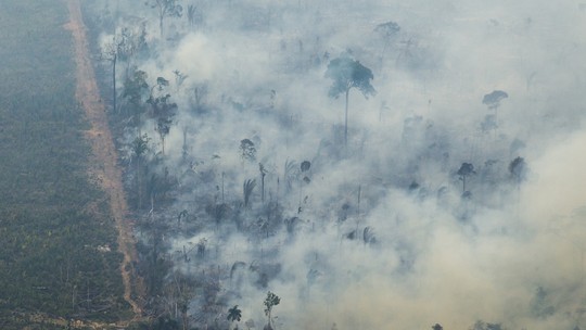 Plataforma do Banco Mundial prevê local e volume de desmatamento na Amazônia