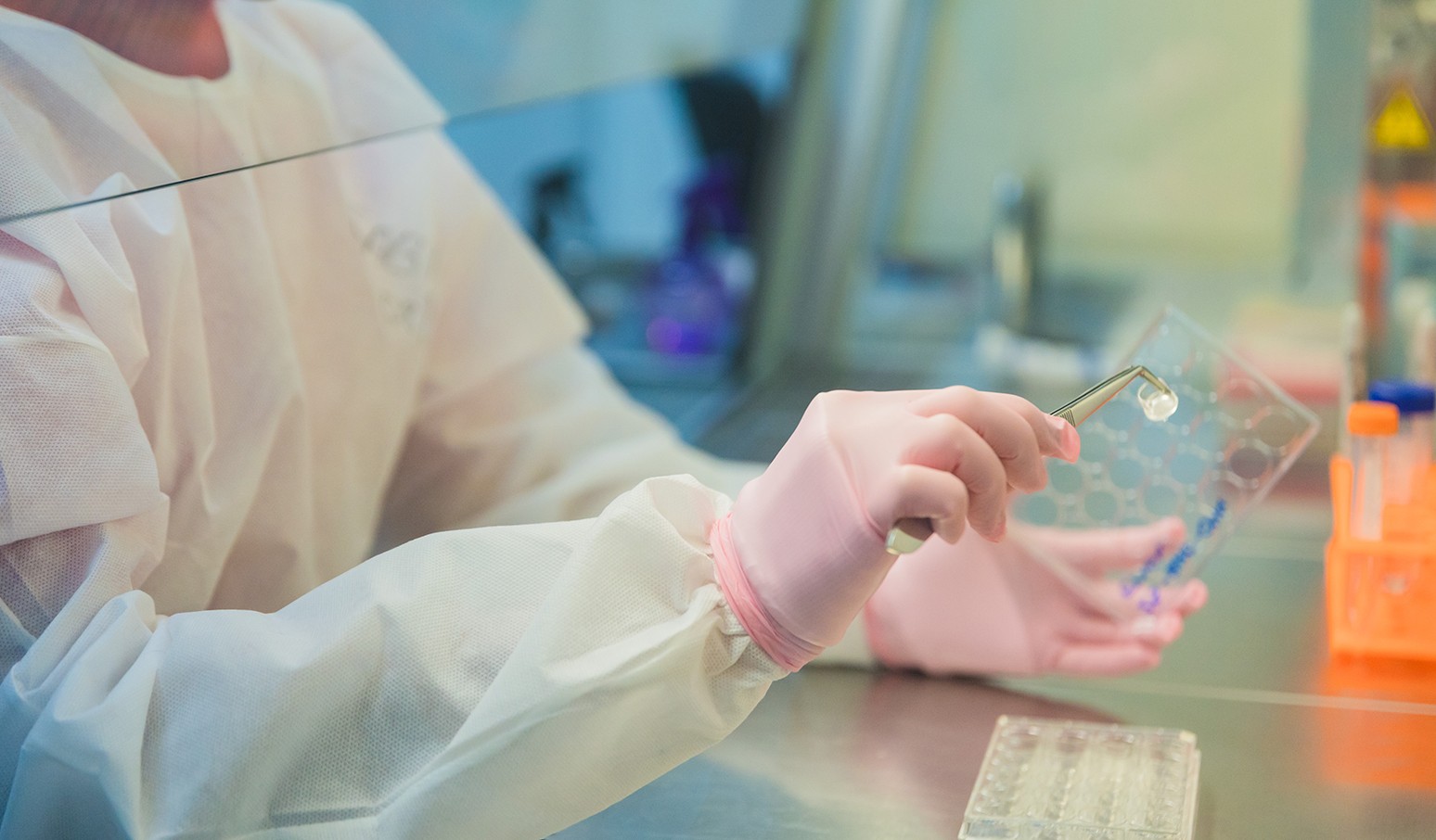 Proibição de testes em animais deve impulsionar investimentos