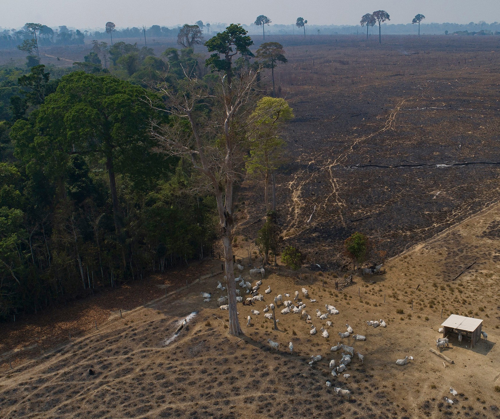 Produção e meio ambiente precisam de novo arranjo