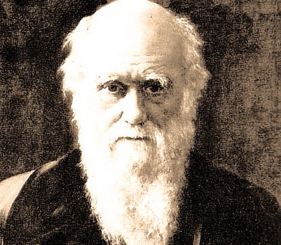 Darwin deu mais ênfase às muitas formas de cooperação em seu segundo grande livro — Foto: Reprodução