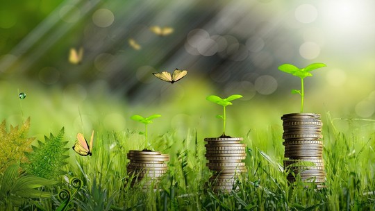 Banco Pan lança estrutura para orientar financiamento sustentável