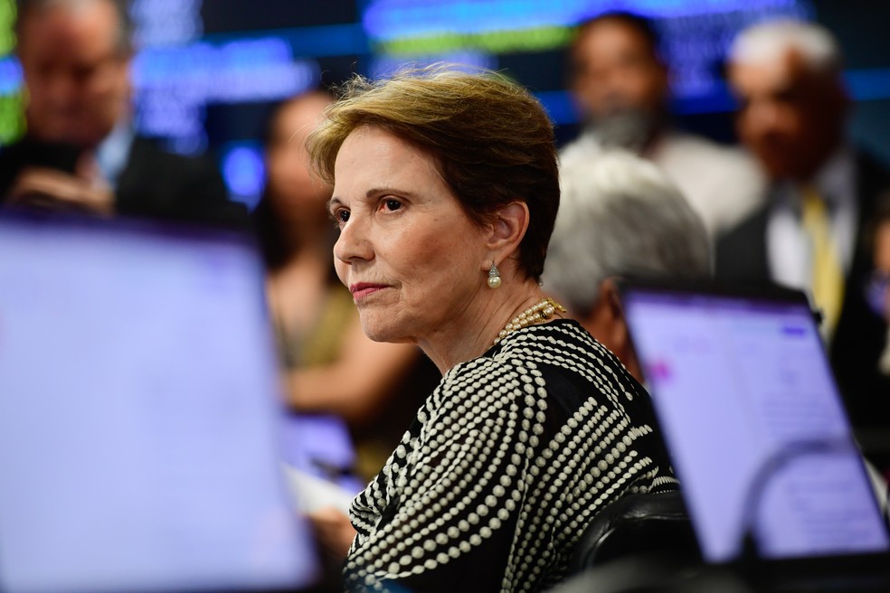 Senadora Tereza Cristina em evento político.