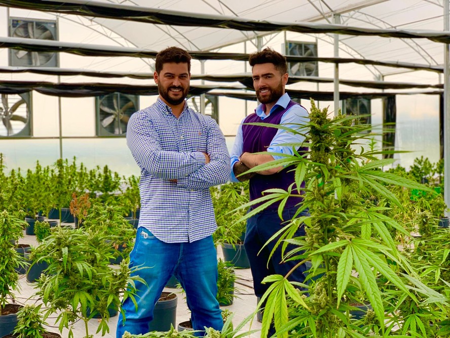 Afonso Braga, CEO da PucMed Smart Bonds, e Alfonso Cardozo Ferretjans, cofundador, CPO e CSO da empresa