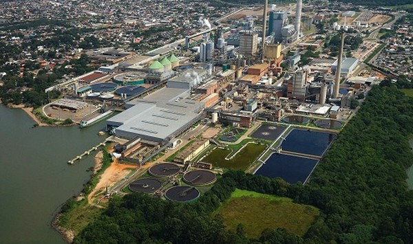 CMPC produziu recorde de 1,87 milhão de toneladas de celulose em 2020 |  Empresas | Valor Econômico