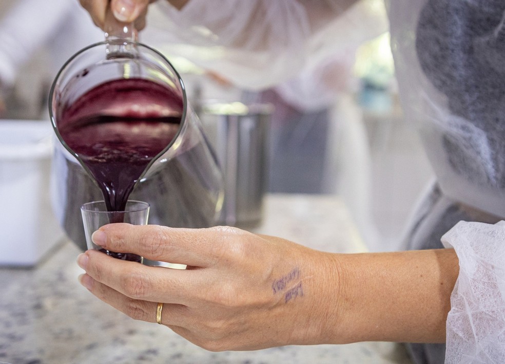 A polpa do açaí-juçara, que é, segundo o chef Willian Peters, menos doce que o açaí amazônico — Foto: Gabriel Marchi/Divulgação