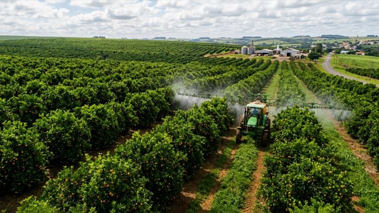 Gulf participa da Bahia Farm Show com produtos certificados