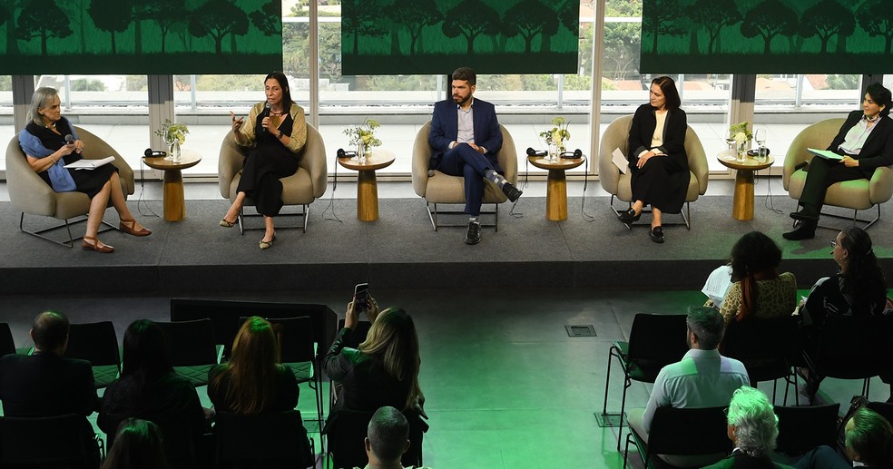 Financiamento climático depende das empresas | COP30 Amazônia | Valor ...