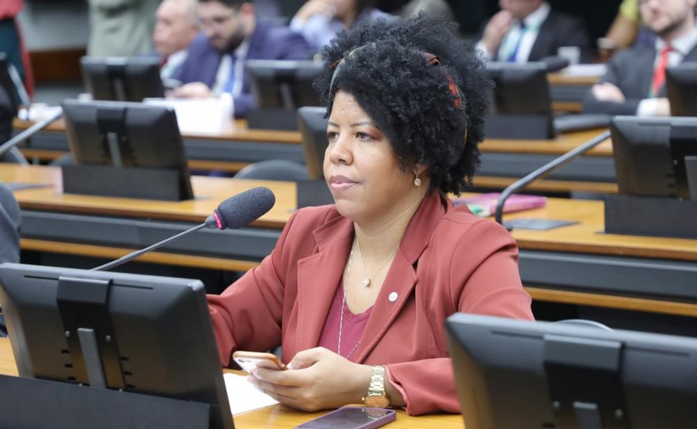 Deputada pede mais tempo para analisar documentos da defesa de Brazão e ...