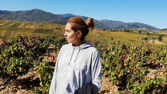 Jorge Lucki: Apesar da fama de produzir vinhos baratos, Espanha se destaca com marcas