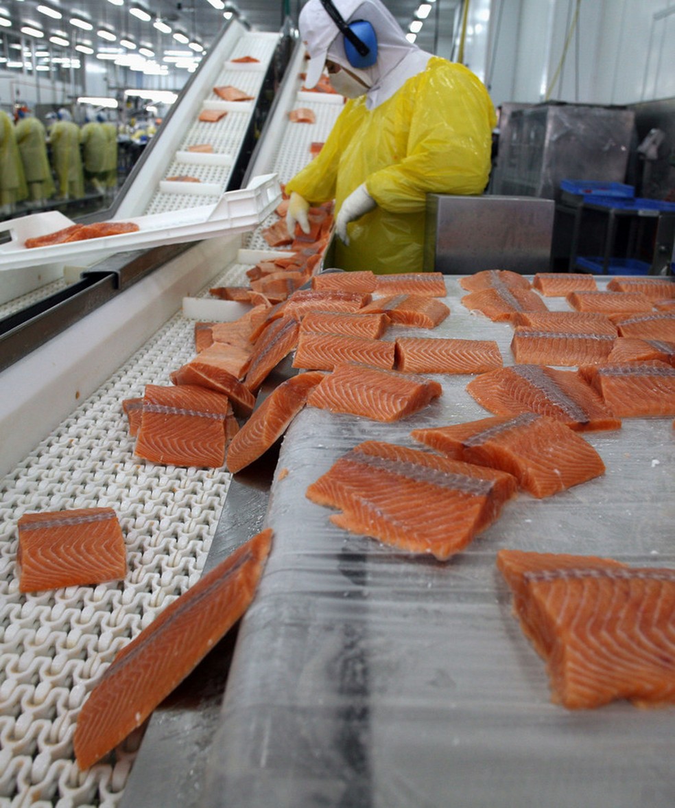 Preço do salmão dispara no Brasil | Agronegócios | Valor Econômico