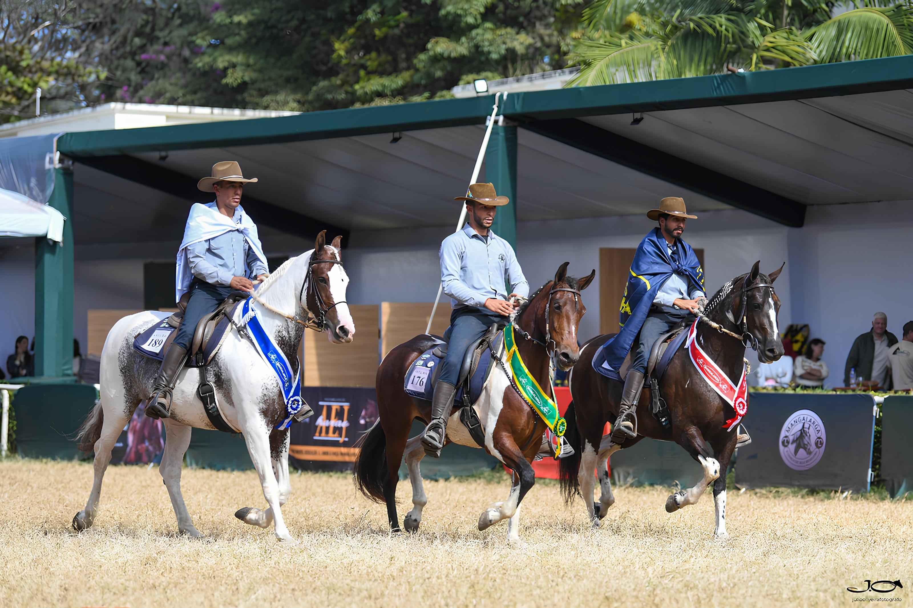 Cavalo da raça Mangalarga estreia na Agrishow