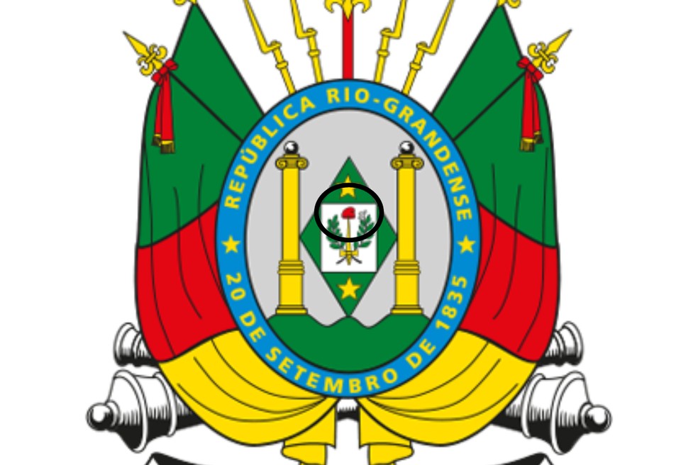 Brasão da bandeira do Rio Grande do Sul com pequeno boné frígio destacado — Foto: Reprodução