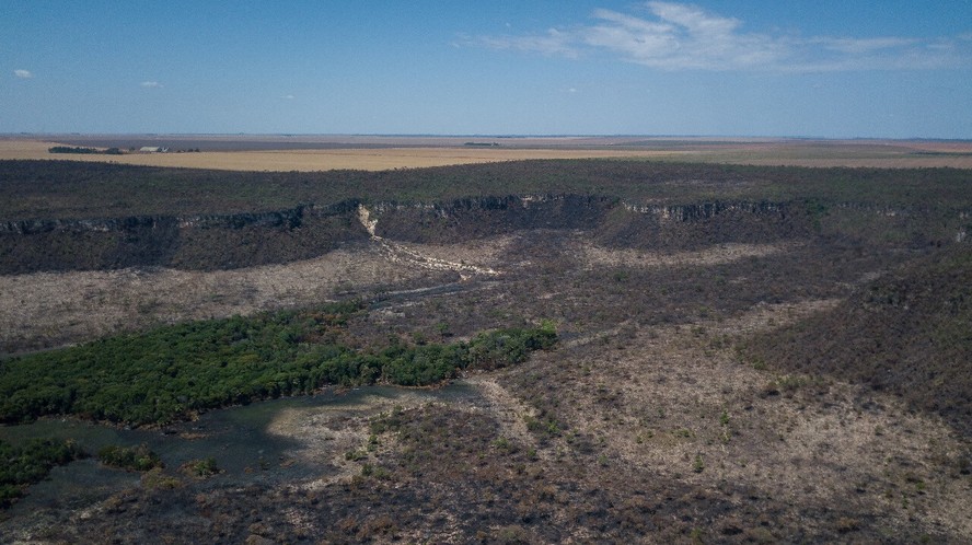 Desde 2020, a devastação do Cerrado voltou a subir