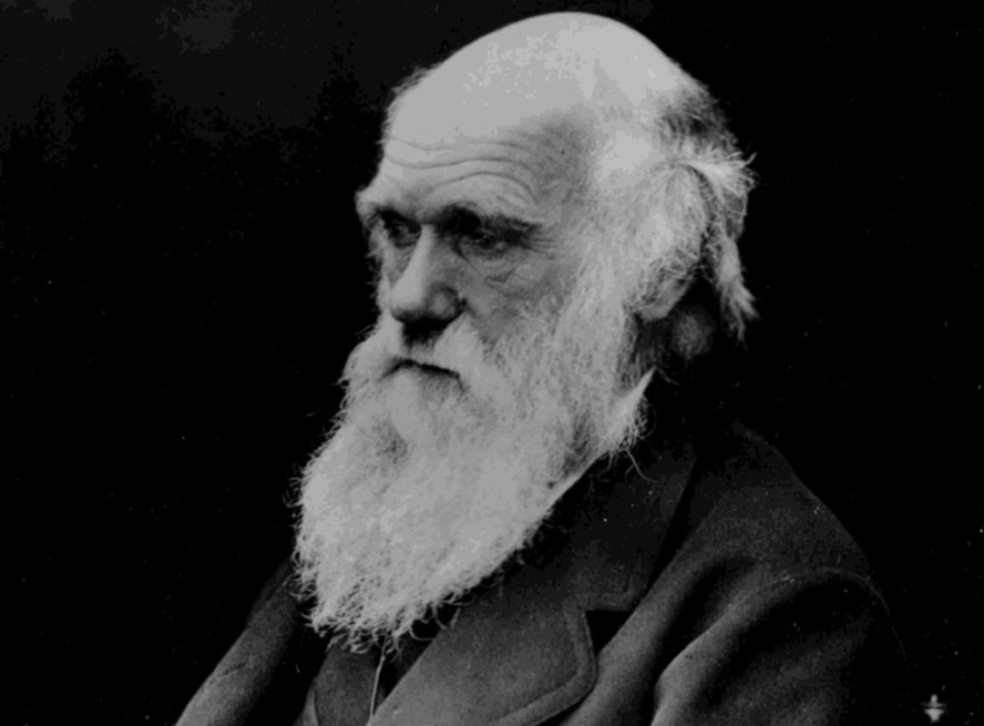 Charles  Darwin é conhecido pelos grandes avanços sobre evolução nas ciências biológicas