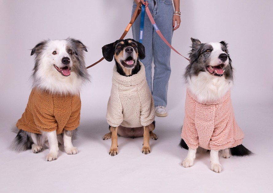 Petlove registrou aumento na satisfação dos clientes com Clube de Descontos