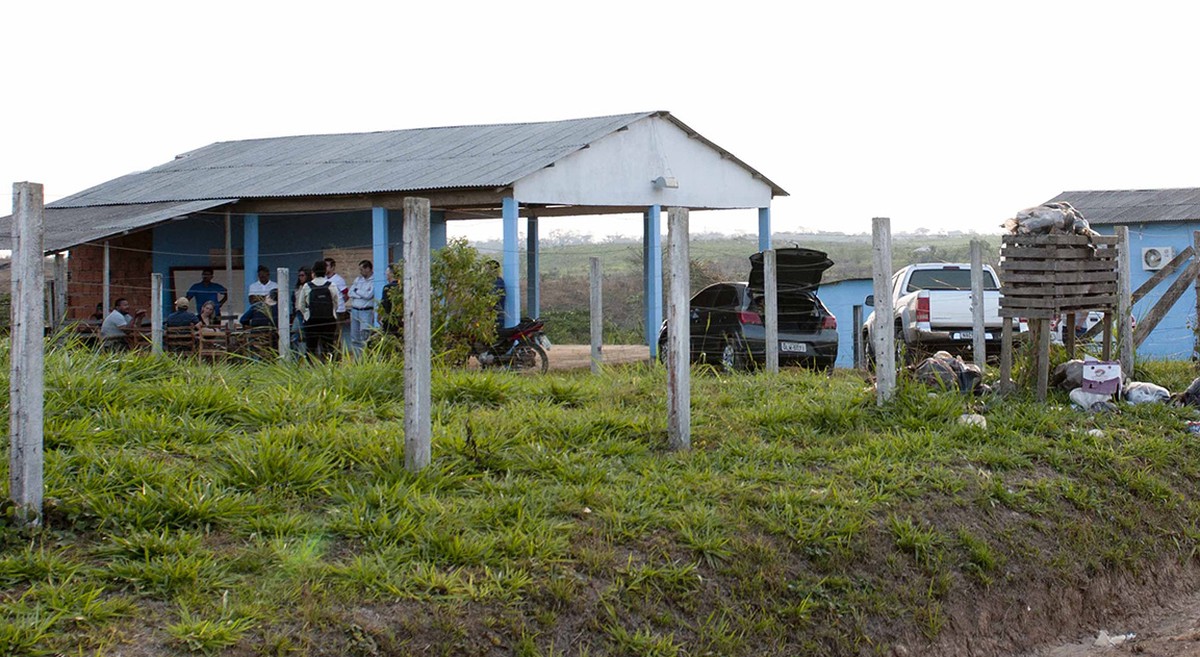 Mercado de crédito de carbono é o destaque da Globo Rural de março