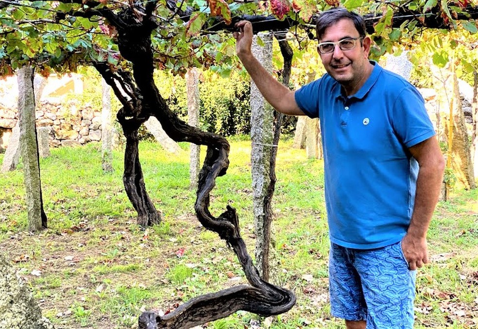 Jorge Lucki: A base de dados online mais abrangente de vinhas velhas do  planeta, Eu 