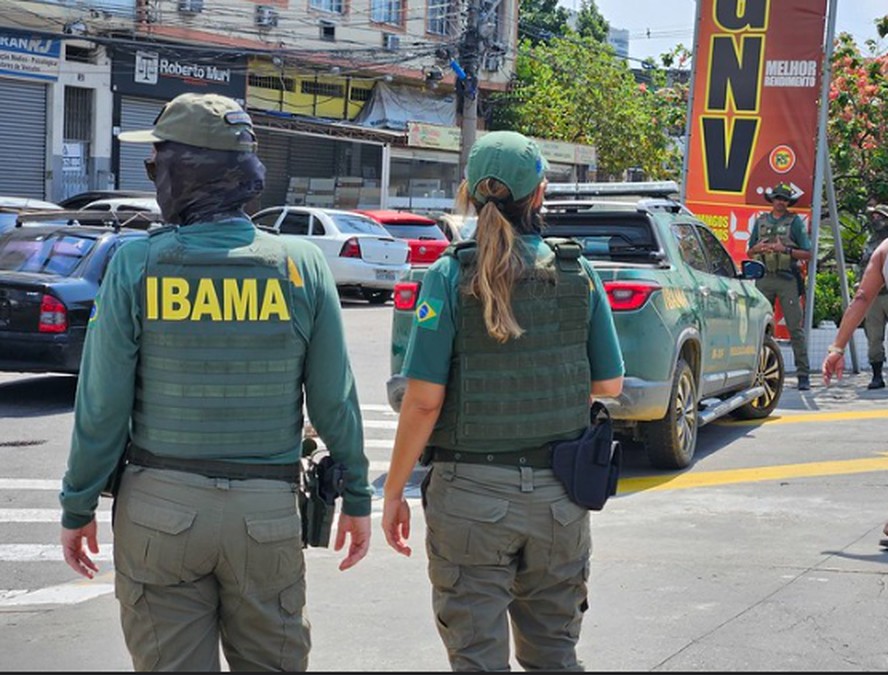 Ibama e ICMbio vão nomear 201 aprovados em concursos | Concursos ...
