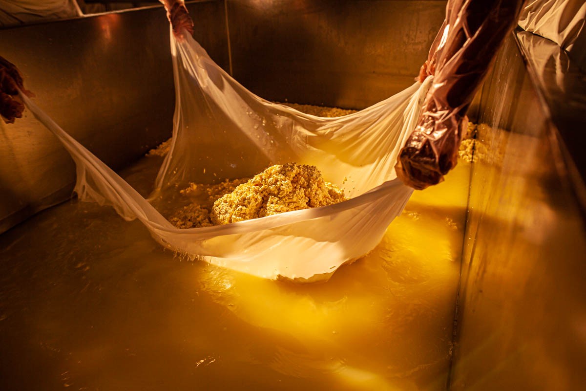 production-line-disclosure-cruzilia