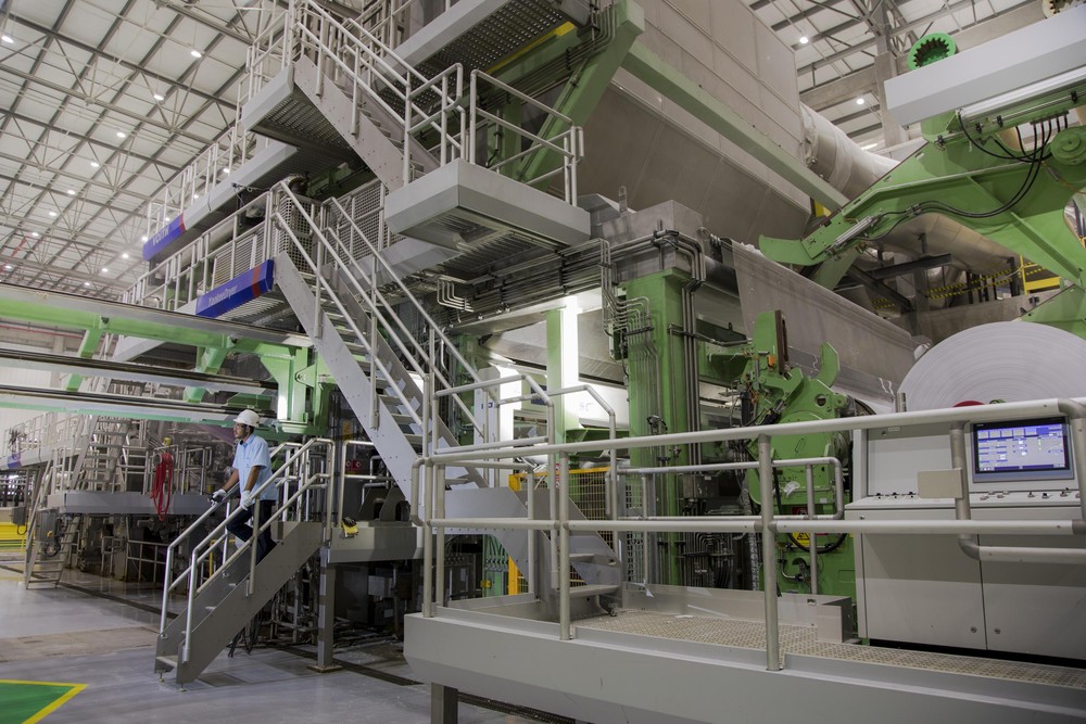 Suzano anuncia reajuste de US$ 30 por tonelada de celulose de eucalipto ...