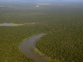 Proteger a Amazônia requer reformulação de modelo econômico