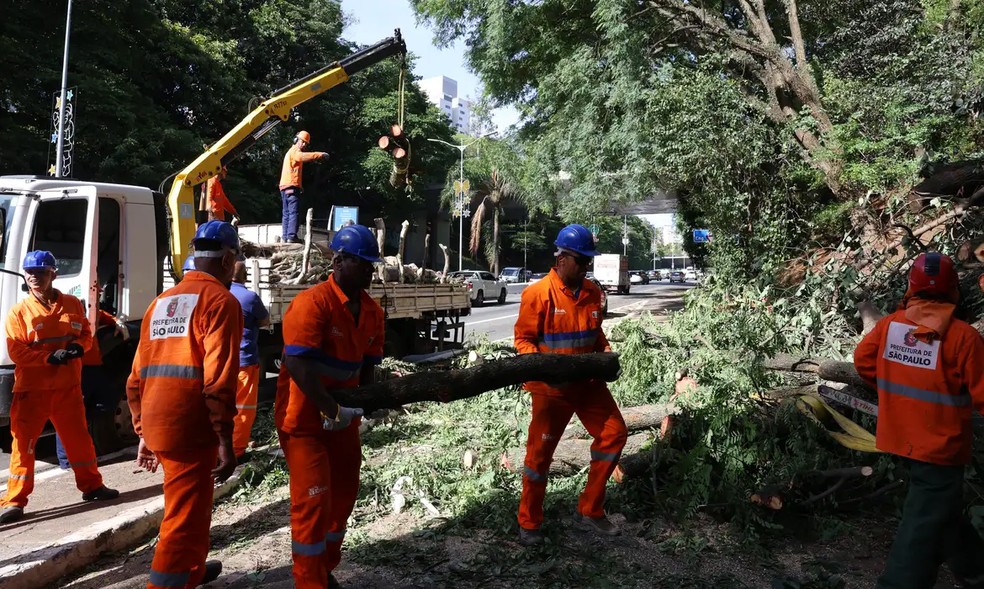 wind storm in São Paulo — Photo: Rovena Rosa/Agência Brasil
