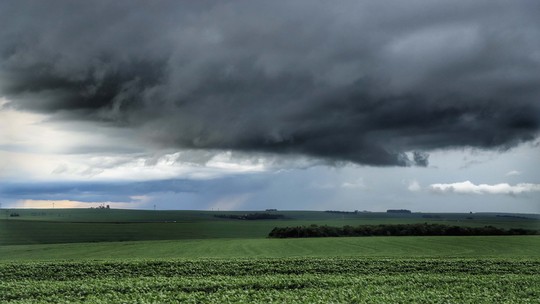 El Niño é ponto de atenção na safra de verão, diz Sicoob El Niño é ponto de atenção na safra de verão, diz Sicoob