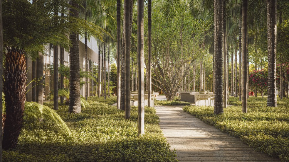 The forest created by the Campana brothers has been preserved to highlight the project 