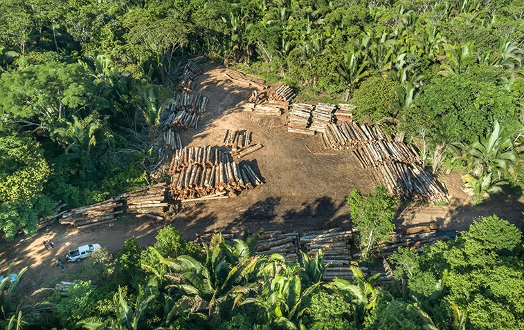 Degradação de florestas na Amazônia bateu recorde mensal em setembro