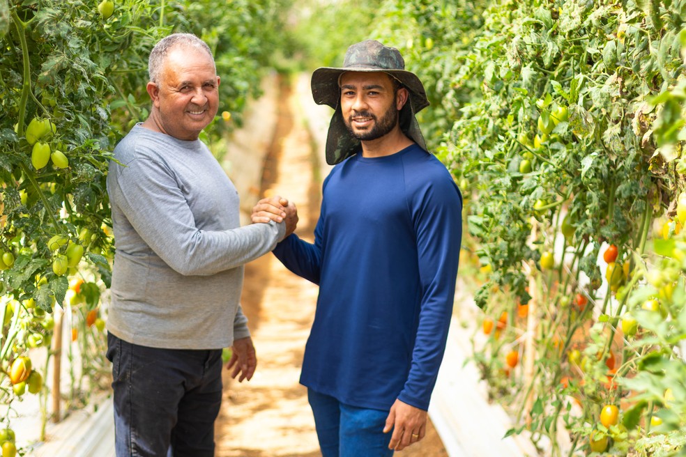 Legado na propriedade dos Levi: família segue tradição na produção de hortaliças — Foto: Wenderson Araujo/CNA