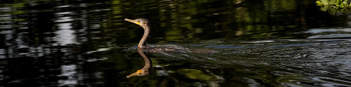 Rio lança ferramenta para medir progresso de metas de desenvolvimento sustentável