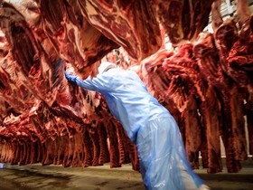 Prima Foods, de Júnior Friboi, confirma compra de planta da Frialto