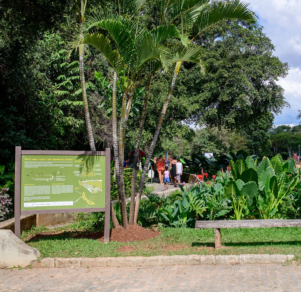 Jardim de chuva, no Parque Lagoa do Nado, em Belo Horizonte: novo Plano Diretor segue diretrizes da ONU- Habitat — Foto: Nereu Jr/ WRI Brasil