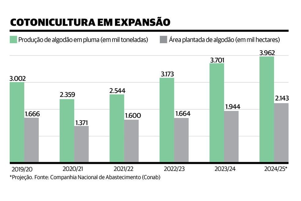 Produção e exportação de algodão registram crescimento e consolidam ...