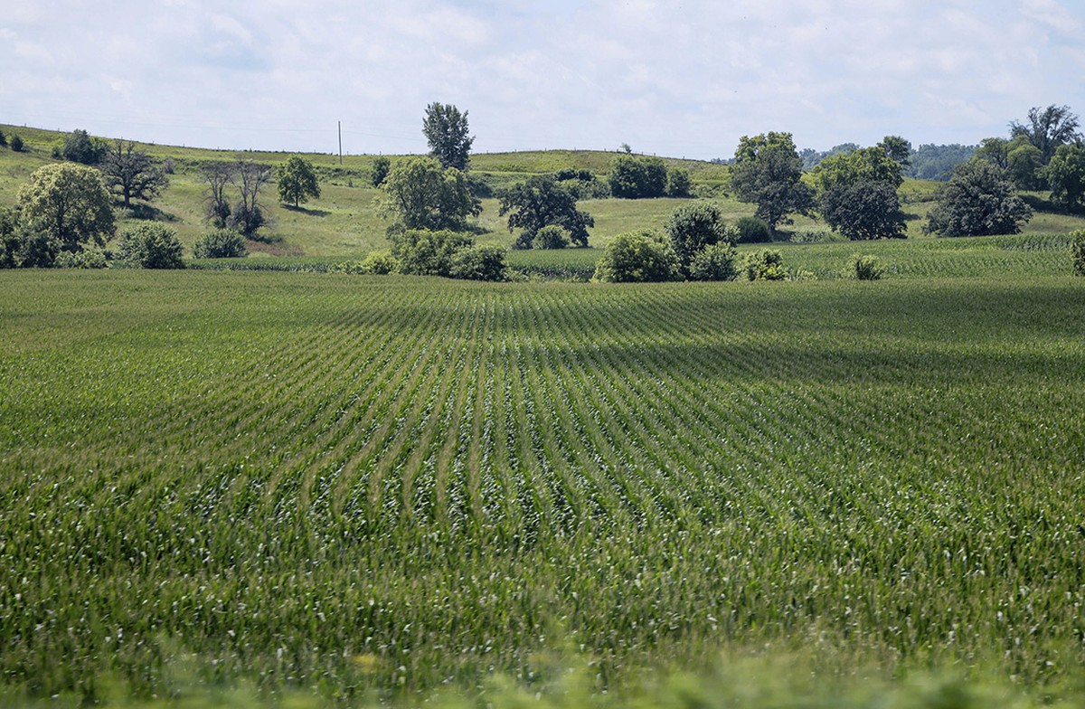 O fim da hegemonia agrícola dos Estados Unidos