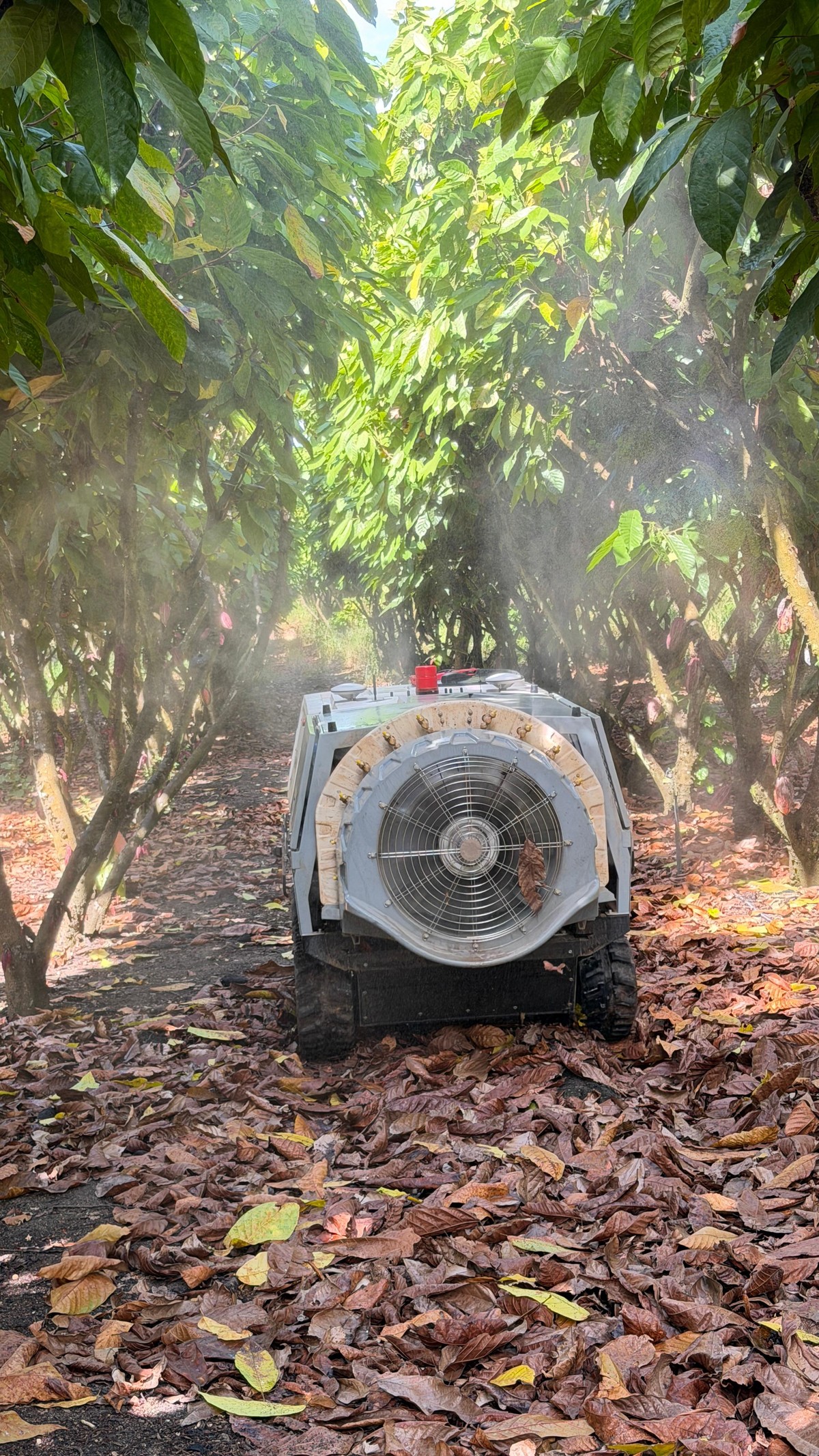 Chinesas de médio porte avançam no mercado de máquinas e equipamentos do agronegócio no Brasil