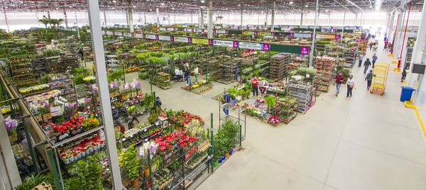 Ceaflor investe R$ 35 milhões para ampliar operações | Agronegócios ...