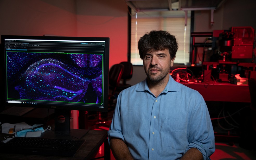 Karl Deisseroth, um dos vencedores do Prêmio Nobel de Fisiologia ou Medicina de 2026 — Foto: Jim Gensheimer/Stanford Medicine/Divulgação via REUTERS