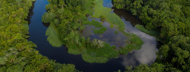 Meandros do rio Almada, que desemboca em Ilhéus, em meio à Mata Atlântica do Sul da Bahia — Foto: Markus Mauthe