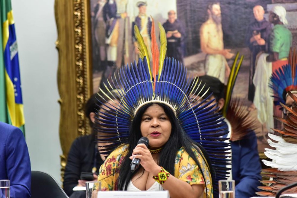 Ministra dos Povos Indígenas, Sonia Guajajara, em audiência na Câmara — Foto: Zeca Ribeiro/Câmara dos Deputados