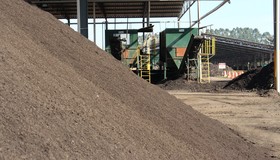 Interesse no mercado de biofertilizantes cresce, mas custo alto é desafio