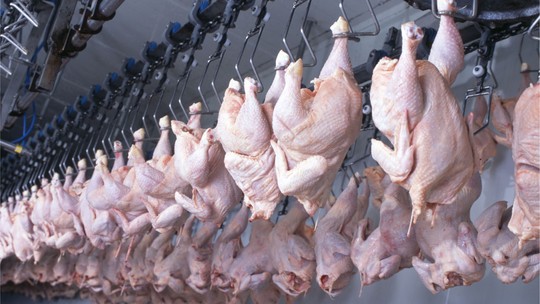 Gripe aviária é “vento contrário” aos negócios da BRF e JBS, diz Itaú BBA